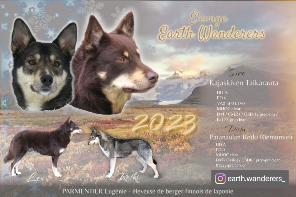 chiot Berger finnois de Laponie Earth Wanderers